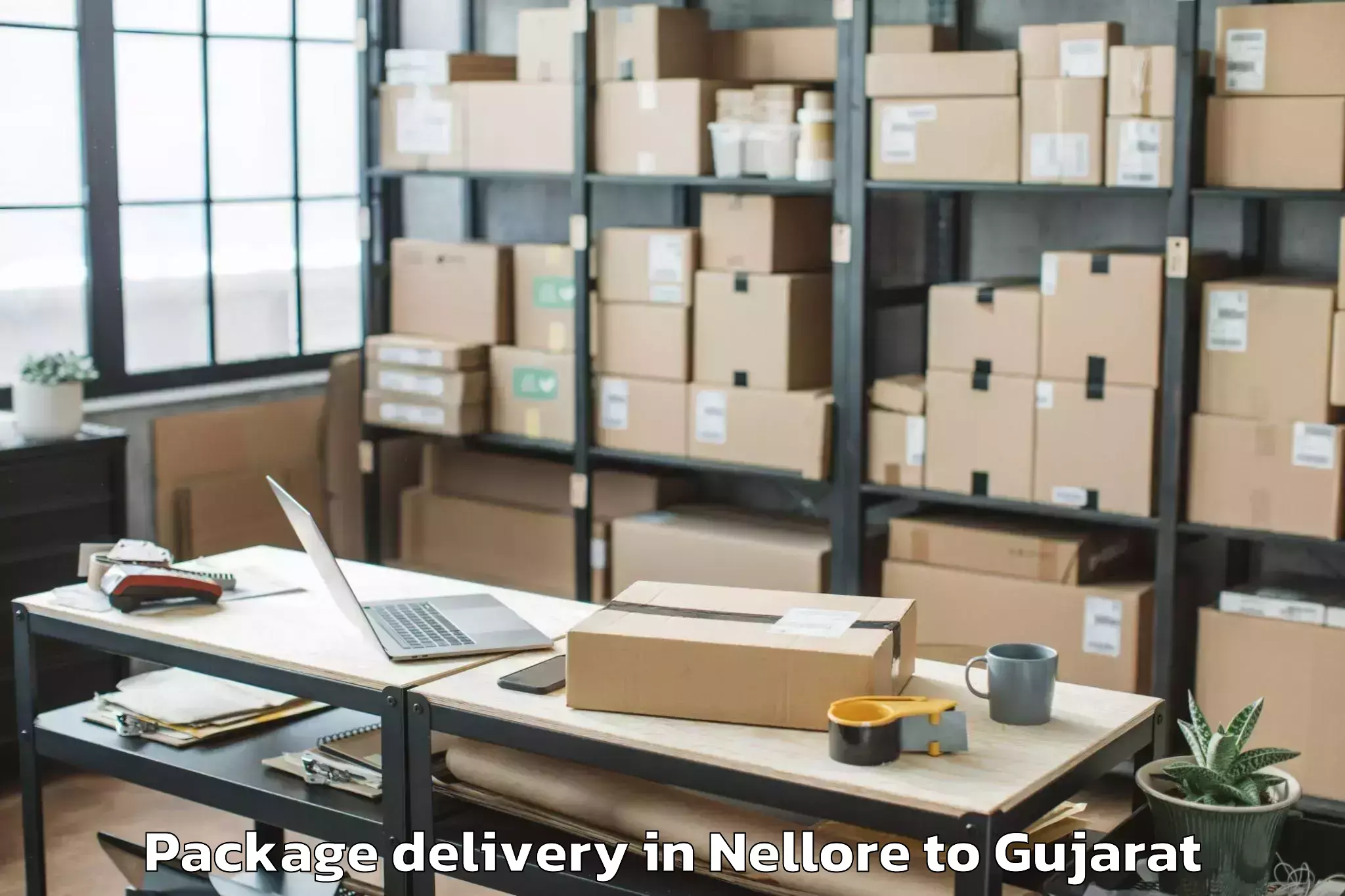 Discover Nellore to Gujarat Technological Universi Package Delivery